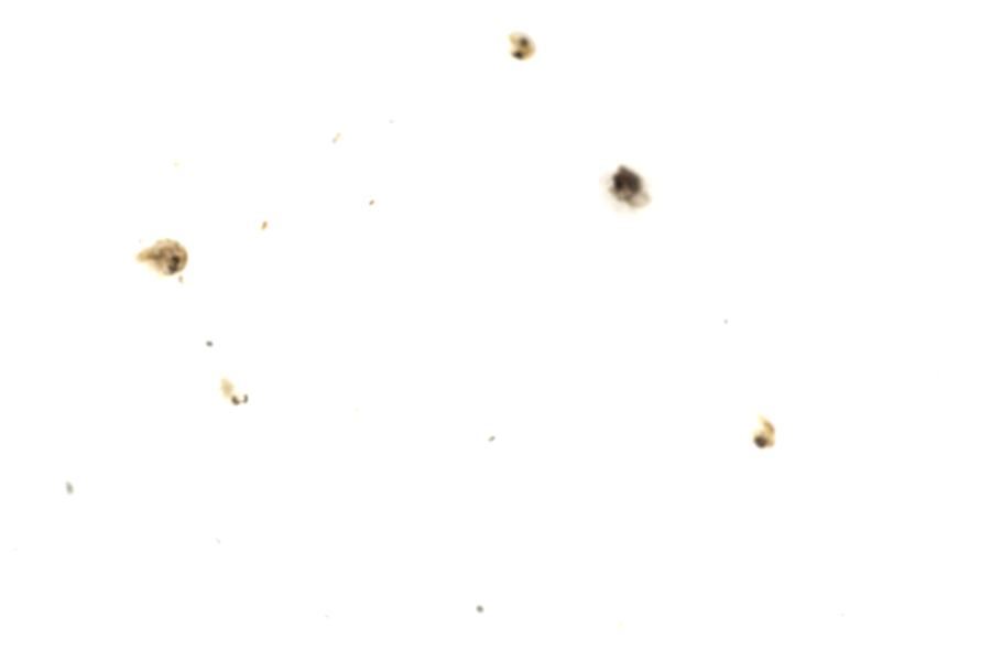Image 110